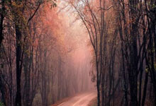 世预赛排行榜是如何影响球队晋级之路的？